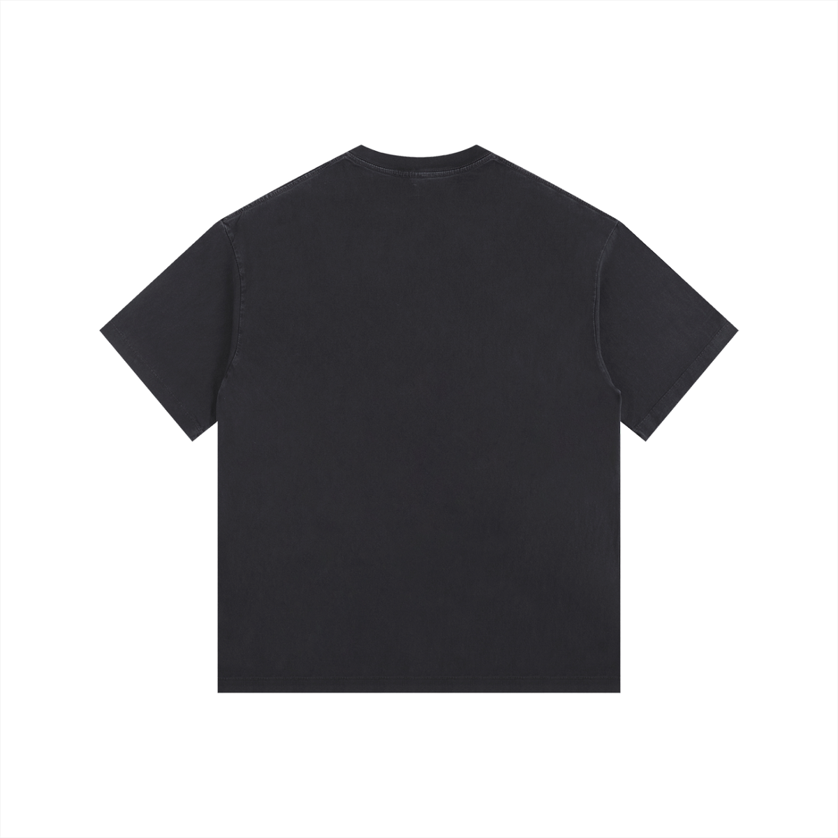 Incapsulated Vintage Washed Oversized Cotton T-Shirt