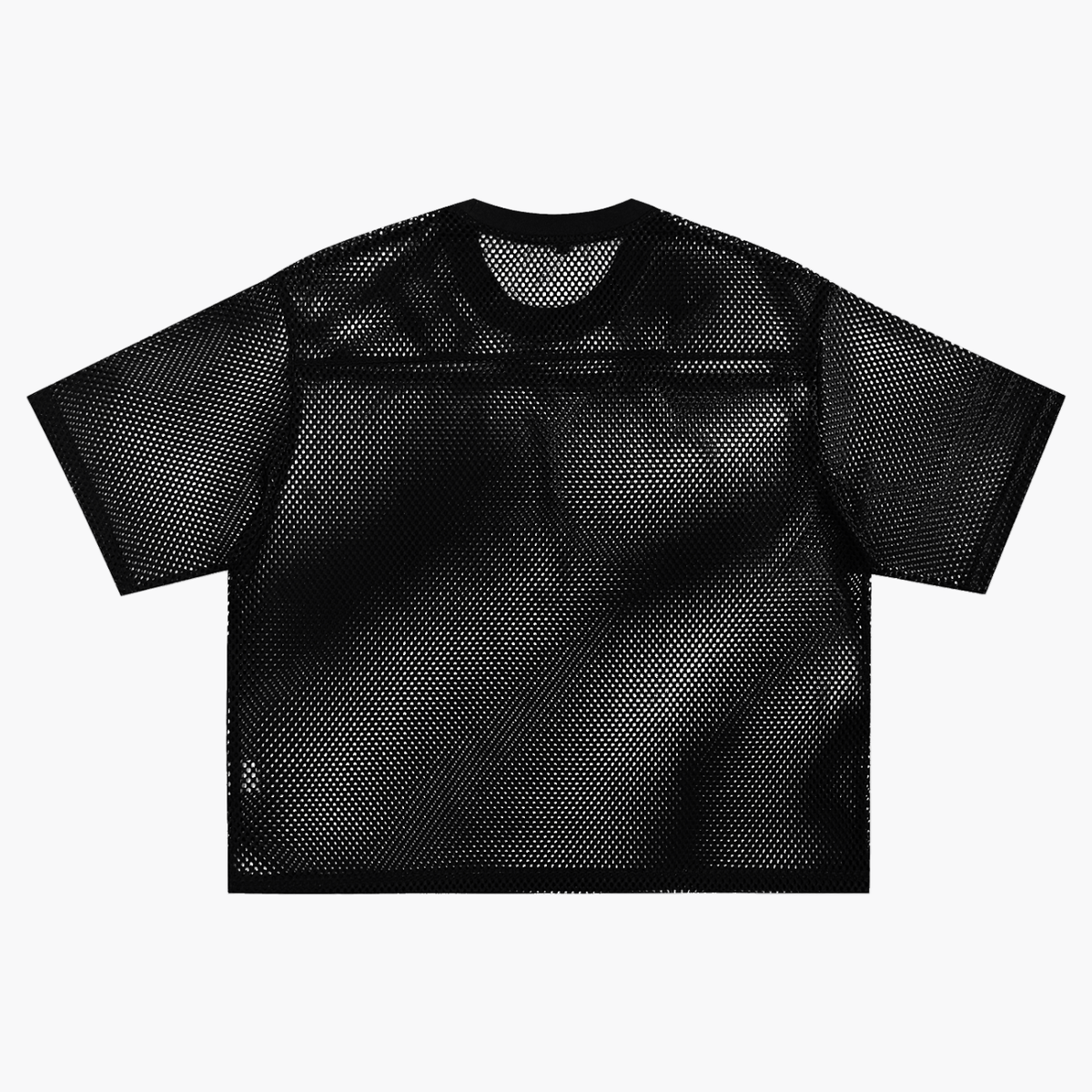 Magic comes with a price See-through Boxy Net T-Shirt