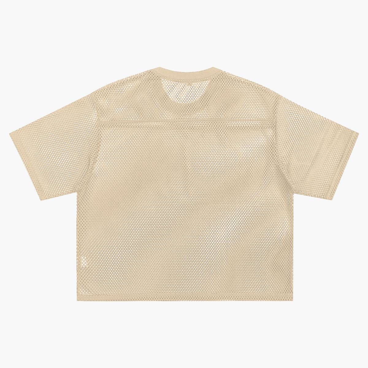 Magic comes with a price See-through Boxy Net T-Shirt